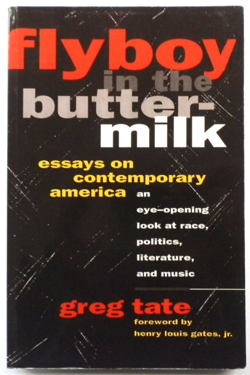Flyboy in the Buttermilk: Essays on Contemporary America