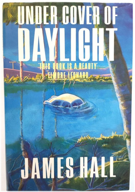 Under Cover of Daylight