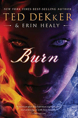 Image for Burn Burn