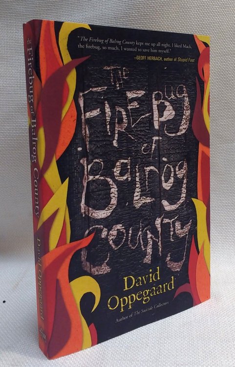 Image for The Firebug of Balrog County The Firebug of Balrog County