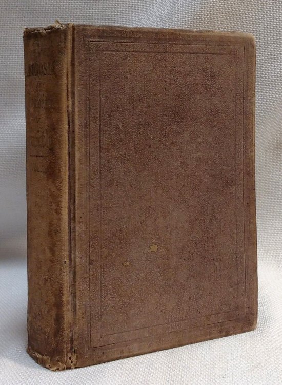 Image for Theodosia Ernest Vollume II Ten Days Travel in Search of the Church [19th century Baptist baptism propaganda) Theodosia Ernest Vollume II Ten Days Travel in Search of the Church [19th century Baptist baptism propaganda)