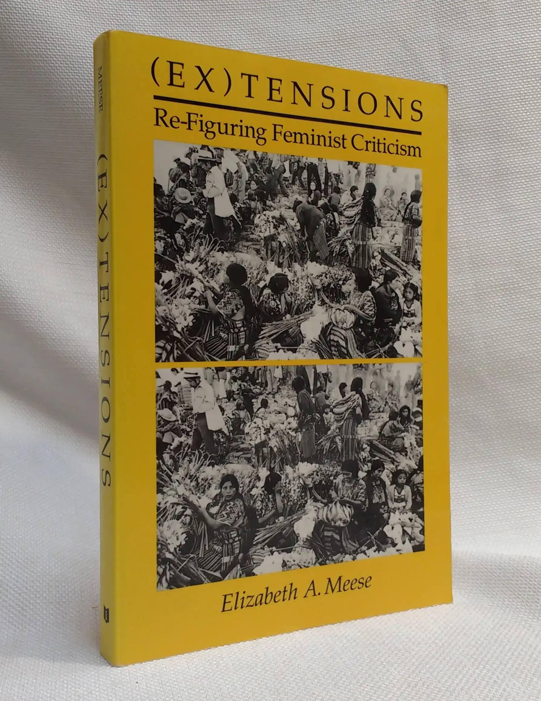 Image for (Ex)tensions: Re-Figuring Feminist Criticism (Ex)tensions: Re-Figuring Feminist Criticism