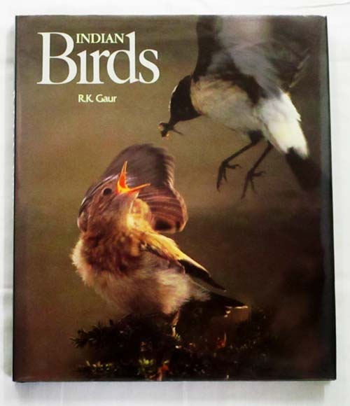 Indian Birds