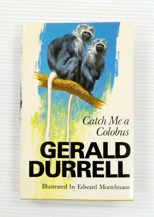 Catch Me a Colobus