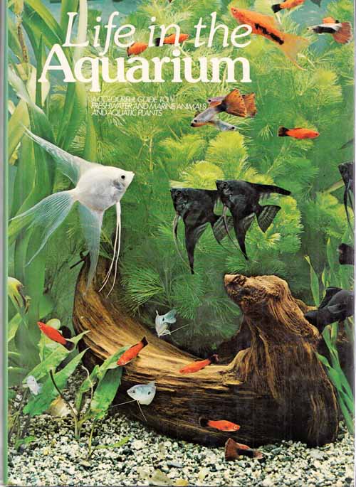 Life in the Aquarium