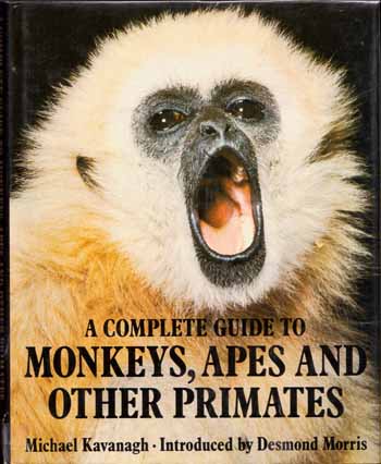 A Complete Guide to Monkeys, Apes and Other Primates