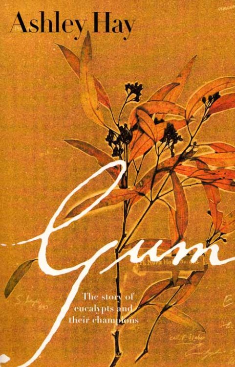 Image for Gum Gum