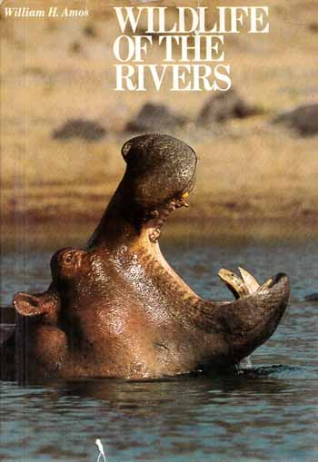 Image for Wildlife of the Rivers Wildlife of the Rivers