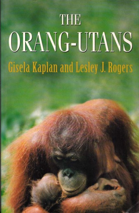 Image for The Orang-utangs The Orang-utangs