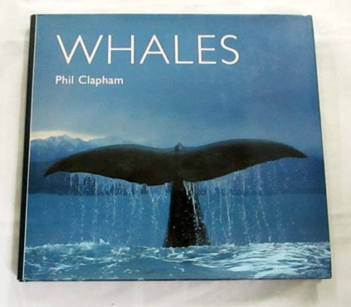 Image for Whales Whales