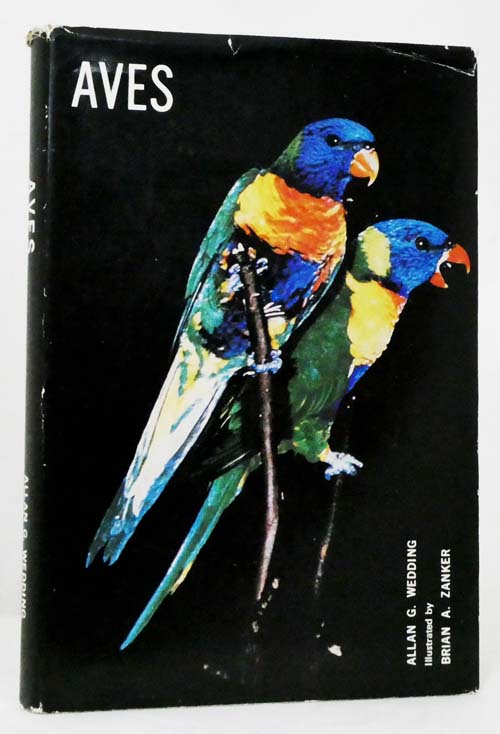 Image for Aves Aves
