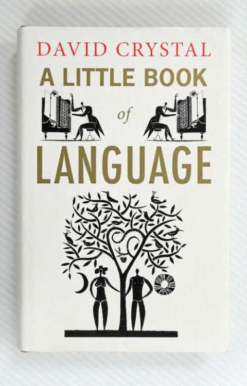 A Little Book of Language