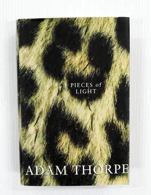 Pieces of Light
