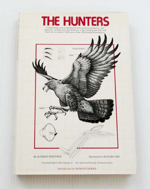 Image for The Hunters The Hunters