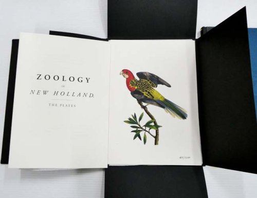 Image for Zoology of New Holland Zoology of New Holland