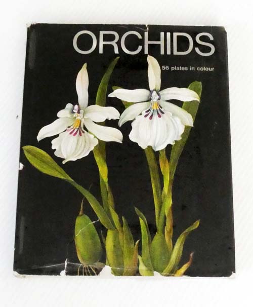 Orchids