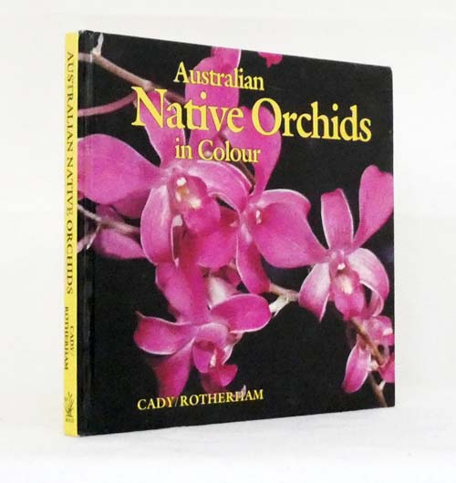 Image for Australian Native Orchids in Colour Australian Native Orchids in Colour