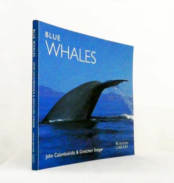 Blue Whales