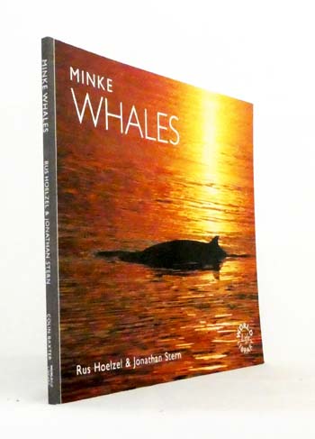Minke Whales