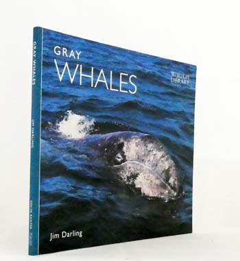Gray Whales