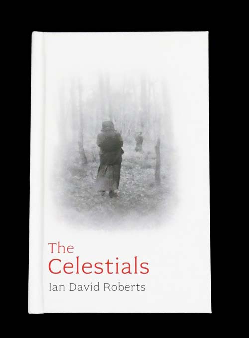 Image for The Celestials The Celestials