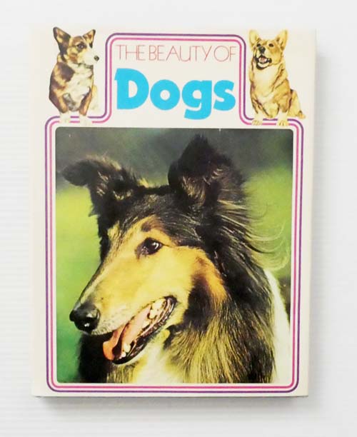 The Beauty of Dogs
