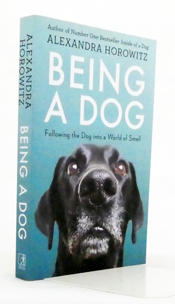 Being a Dog Following the Dog into a World of Smell