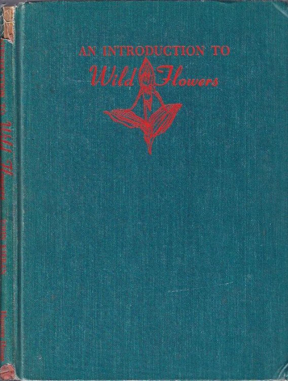 An Introduction to Wild Flowers