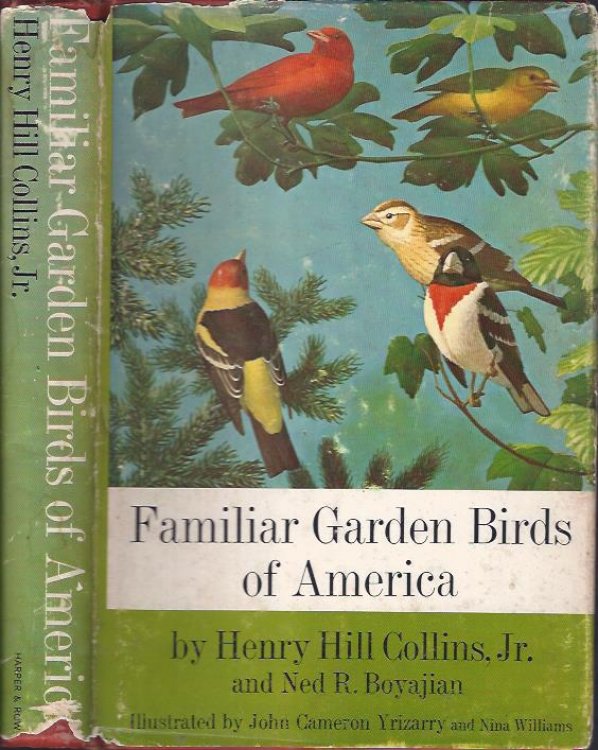 Image for Familiar Garden Birds of America Familiar Garden Birds of America