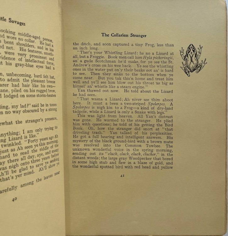 Two Little Savages: Being the Adventures of Two Boys Who lived as Indians