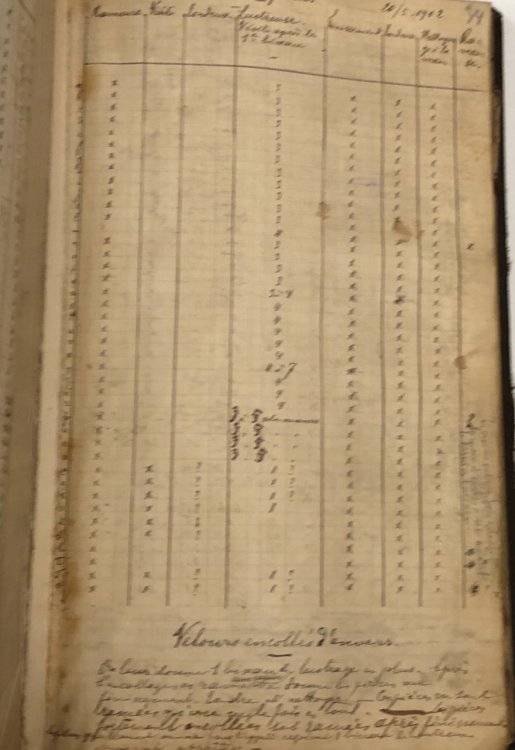 Franz Rabbeneck Company Dye Manual