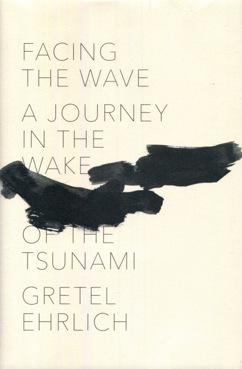 Facing the Wave: A Journey in the Wake of the Tsunami