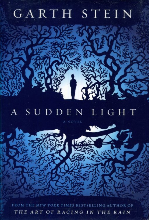 A Sudden Light: A Novel