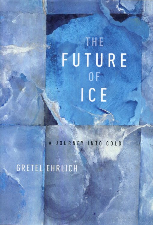 The Future of Ice: A Journey into Cold