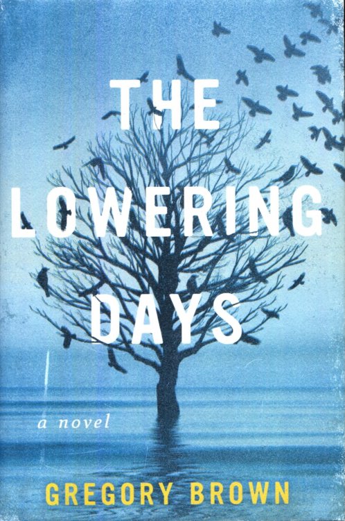 The Lowering Days: A Novel