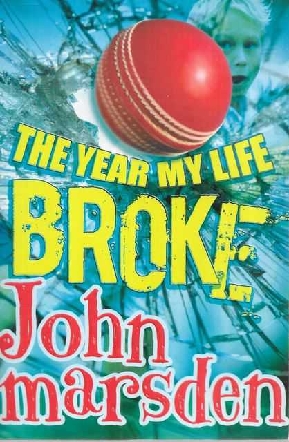 Image for The Year My Life Broke The Year My Life Broke