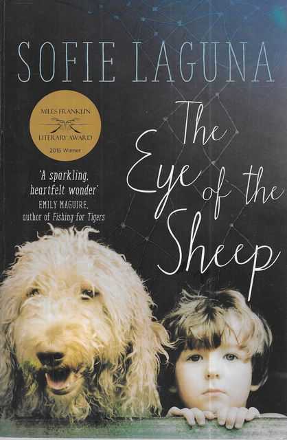 The Eye Of The Sheep