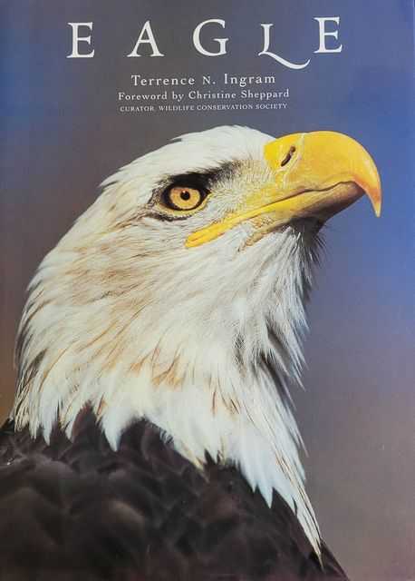 Eagle
