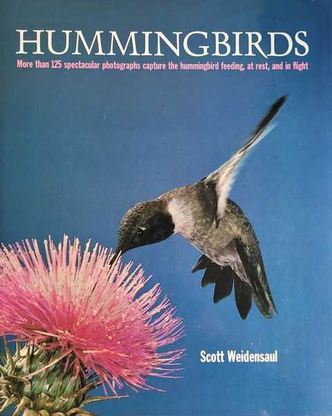 Hummingbirds