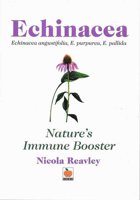Echinacea - Nature's Immune Booster