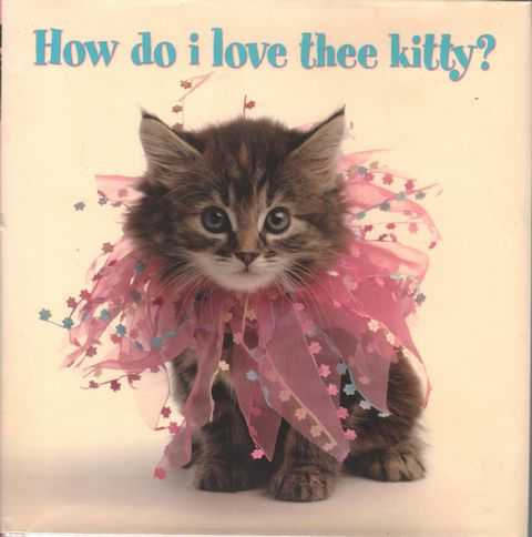 Why Do I Love Thee Kitty