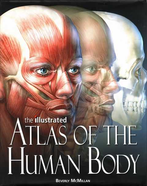 The Illustrated Atlas of the Human Body
