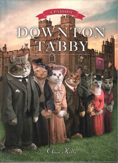 Image for Downtown Tabby Downtown Tabby