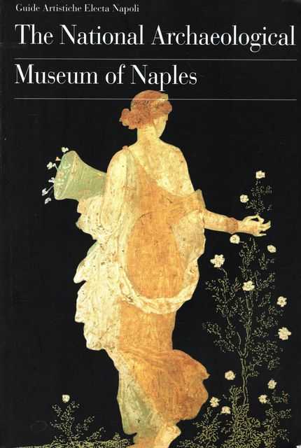 Image for The National Archaeological Museum of Naples The National Archaeological Museum of Naples