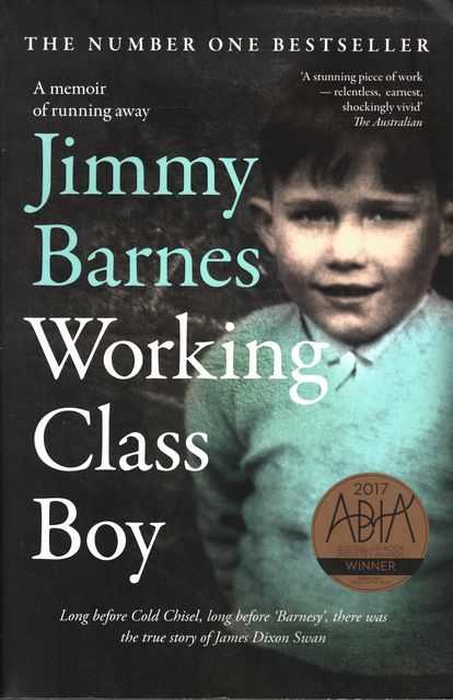Working Class Boy