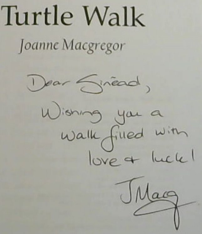 Image for Turtle Walk Turtle Walk