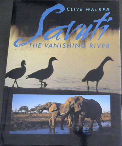 Saruti The Vanishing River