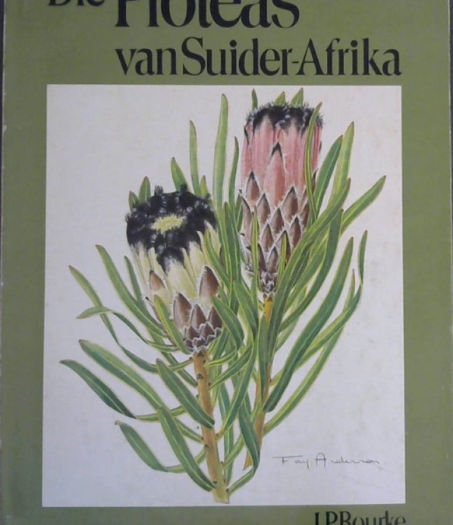 Image for Die Proteas van Suider -Afrika Die Proteas van Suider -Afrika