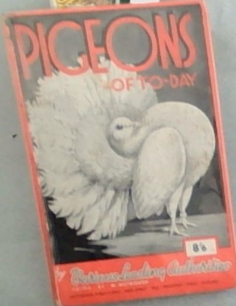 Pigeons of To-day. By various leading authorities. Fully illustrated