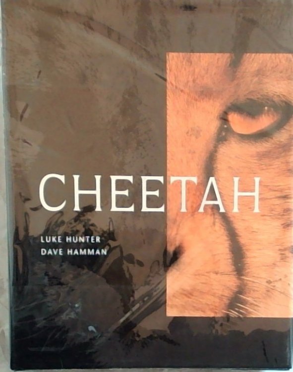 Cheetah